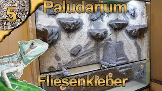 Bauanleitug Terrarium Rückwand DIY | Flex Fliesenkleber Arbeiten | Paludarium für Kronenbasilisk | 5