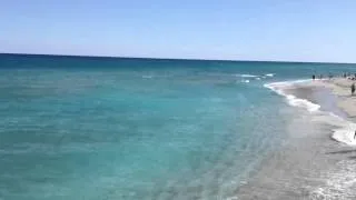 SHARKS!!! at Lake Worth Pier