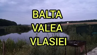 Balta Valea Vlasiei