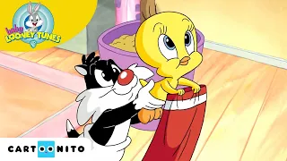 L'arbre de Noël | Baby Looney Tunes | Cartoonito France