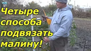 ОБРЕЗКА И ПОДВЯЗЫВАНИЕ МАЛИНЫ ОСЕНЬЮ.