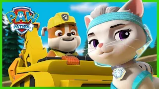 Epizody Motopiesków z Psiego Patrolu i kociej bandy - Psi Patrol PAW Patrol po polsku