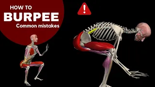 How to Burpee | Watch all active muscles