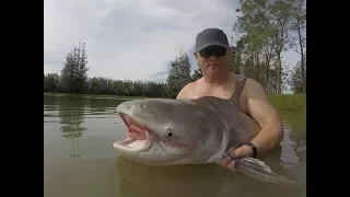 Go Pro Hero 5 ! Awesome Chaophraya Catfish Fishing  Fishing Thailand- BKKGUY