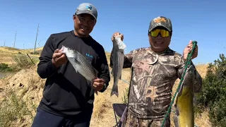 Good action for striper and catfish today at Bethany Reservoir 06/17/23