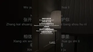 Tong hua童话-Michael Wong(lyrics)