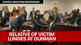 WATCH: Man lunges at Buffalo shooter during sentencing