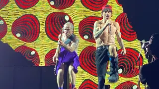 Red Hot Chili Peppers Live Houston 2023