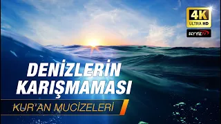 Denizlerin Karışmaması [Kuran Mucizeleri] 4K