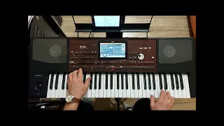 Białe łabedzie -cover Łukasz Korg Pa 700