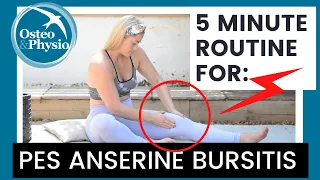 Our full 5 minute guided routine for PES ANSERINE BURSITIS!
