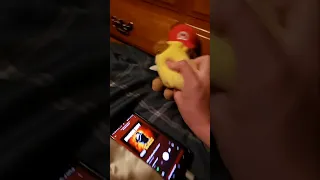 Peach Kisses Mario and Bowser gets PISSED