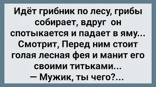 Грибник Снял Штаны Перед Лесной Феей! Сборник Свежих Анекдотов! Юмор!