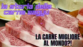 wagyu: la carne più costosa del mondo!