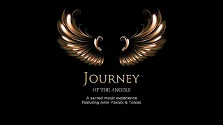 Journey of the Angels - Tobias of the Crimson Council and Amir Yakobi