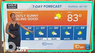 10 Weather: Tampa Bay area morning forecast | Wednesday, April 24, 2024