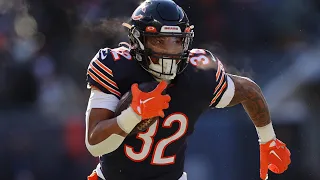 David Montgomery Highlights || Chicago Bears Tribute || HD