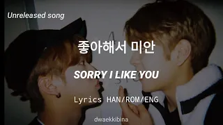 Sorry I Like You by Changbin Stray Kids [Lyrics HAN/ROM/ENG]