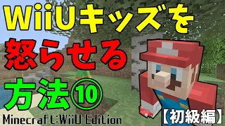 【マイクラWiiU】キッズを怒らせる方法 10選！(初級編)