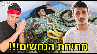 שמנו על בן בסט 10 נחשים בזמן שהוא ישן (הוא עוד שניה התעלף!!)