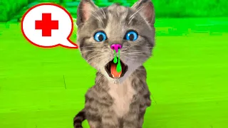 ANIMATED LITTLE KITTEN ADVENTURE - PET CARE AND GREEN CAT - CARTOON LONG SPECIAL