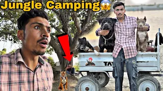 Dangerous Jungle Camping widh Pitbull Dog 😱 जान पे ख़तरा आ गया