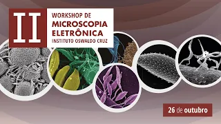 II Workshop de Microscopia Eletrônica - 26/10/21