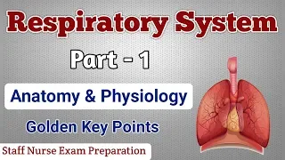 Respiratory System || Part - 1 || Anatomy Physiology Golden Key Points