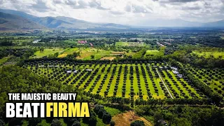 BEATI FIRMA AERIAL VIEW | BEA ALONZO'S FARM | IBA ZAMBALES