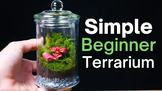 How To Make a Terrarium - An Easy Beginner Guide