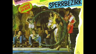 Skandal im Sperrbezirk / The Spider Murphy Gang.