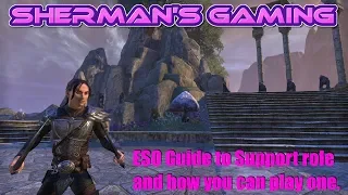 ESO Guide to Support role and how you can play one.