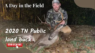 Tennessee Public Land Buck 2020