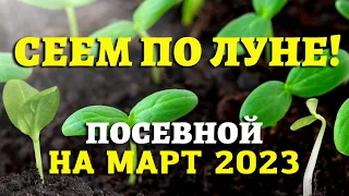 Когда сеять ДЛЯ БОЛЬШОГО УРОЖАЯ! Лунный посевной календарь на МАРТ 2023  #лунныйпосевнойкалендарь