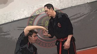 Small Circle Jujitsu - Professor Leon Jay's Flow