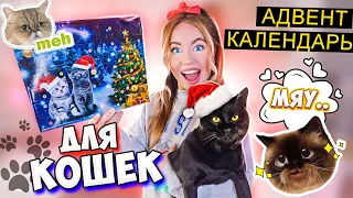 МОЙ КОТИК В ВОСТОРГЕ! АДВЕНТ-КАЛЕНДАРЬ для КОШЕК с АЛИЭКСПРЕСС! Что внутри?