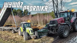 🇵🇱Wywóz Obornika 2023 !㋛︎Claas,Case,Man,Jcb,Manitou㋛︎Lubuskie㋛︎