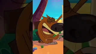 zig and sharko funny video