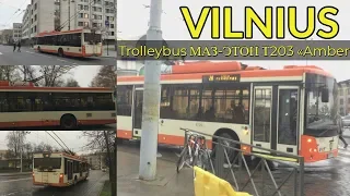 *RARE* Vilnius | Trolleybus МАЗ ЭТОН Т203 «Amber» #1720