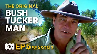 Were the first European Australians Dutch? 🤠🗺️ | Bush Tucker Man | S3 EP5 | ABC Australia