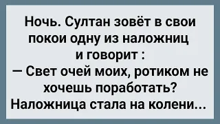 Султан Предложил Наложнице Поработать! Сборник Свежих Анекдотов! Юмор!