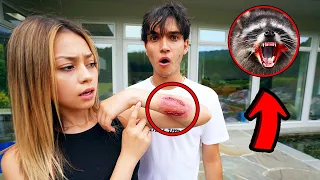 A Vicious Raccoon ATTACKED My Girlfriend!