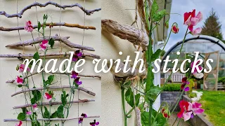 🍅 Build this DIY Trellis + Vertical Gardening Ideas for Your Garden