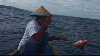 DARI PERTAMA SAMPAI AKHIR STRIKE BABON,IKAN MONSTER LAUT DALAM