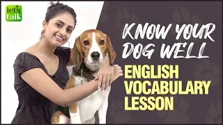 English Vocabulary Lesson - Dog 🐶 | Know Your Dog Well! | Body Parts Names | English Learning Video