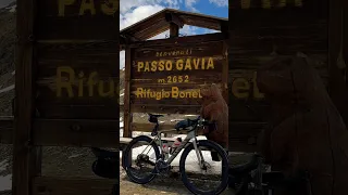 One of the toughest cycling climbs in Europe… Gavia Pass, Italy 🇮🇹 Passo, Bormio