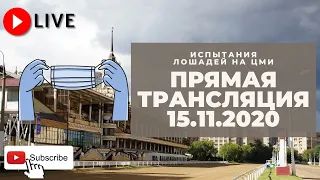 15.11.2020. Прямая трансляция с ЦМИ.