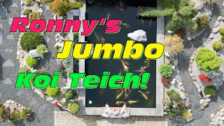 Ronny‘s 40000 Liter Jumbo Koi Teich im fantastisch angelegten Japangarten!