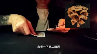 【佔測】這段關係該繼續還是放棄！#占卜 #塔罗 #塔罗牌测试