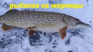 Зимняя рыбалка на жерлицы! Ловля трофейнной  щуки.